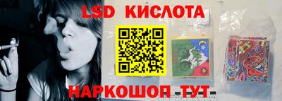прущие грибы Новокубанск