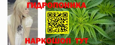 прущие грибы Новокубанск
