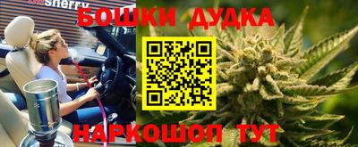 индика Нягань