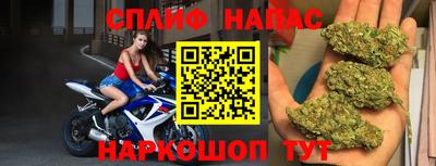 индика Нягань