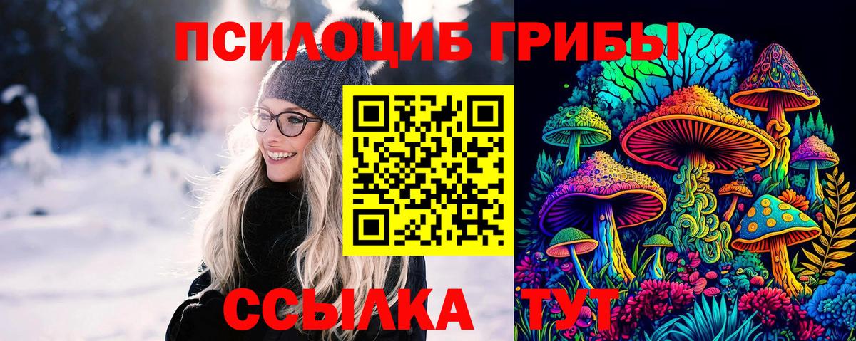 Галлюциногенные грибы мицелий  купить наркоту  Пугачёв  Вход с VPN 