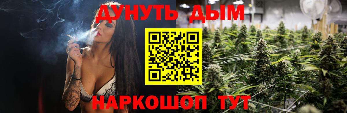 МАРИХУАНА SATIVA & INDICA  Бошки Шишки планчик  Пугачёв  Вход с VPN 